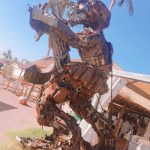 モザンビーク30週目（1/21～1/27）