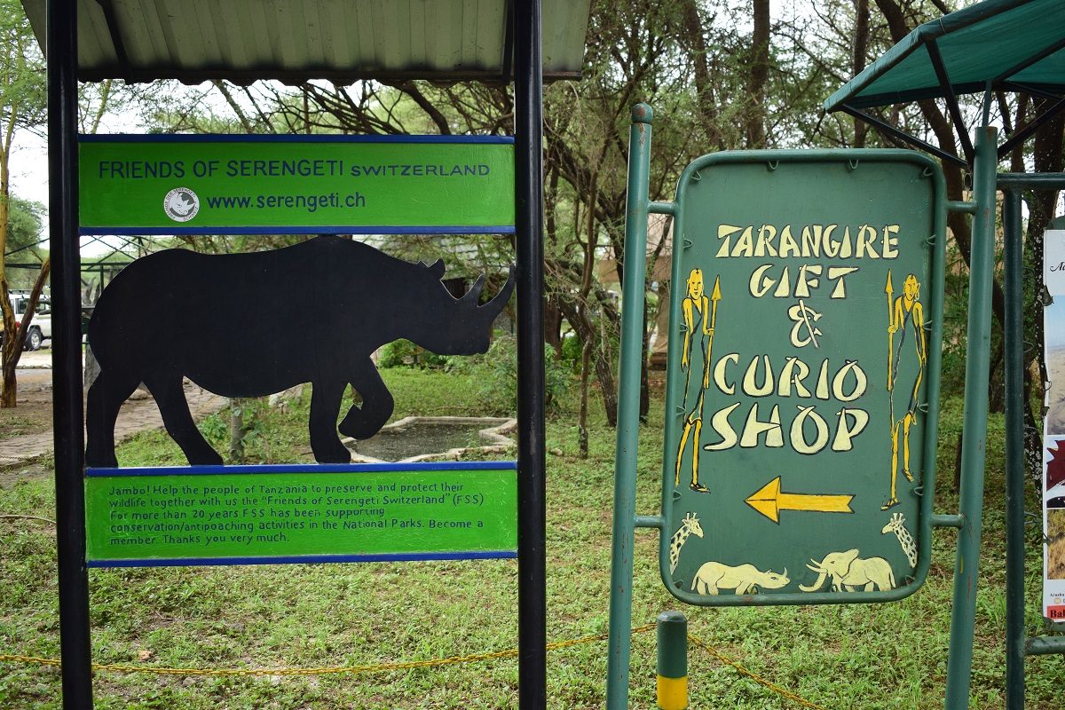 タンザニア旅行に行ってきた！タランギーレ国立公園編（Day3）