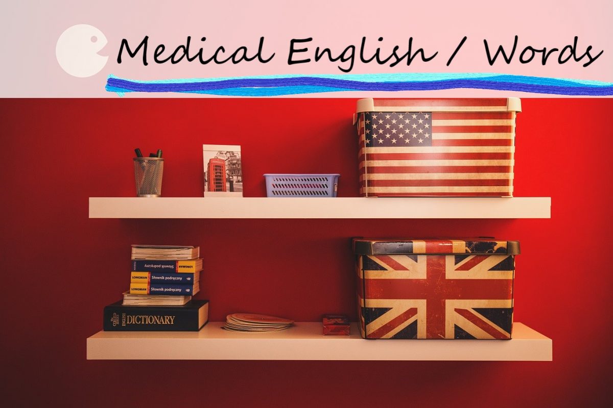 【自己学習用】医療・薬学英語10個をまとめてみた！